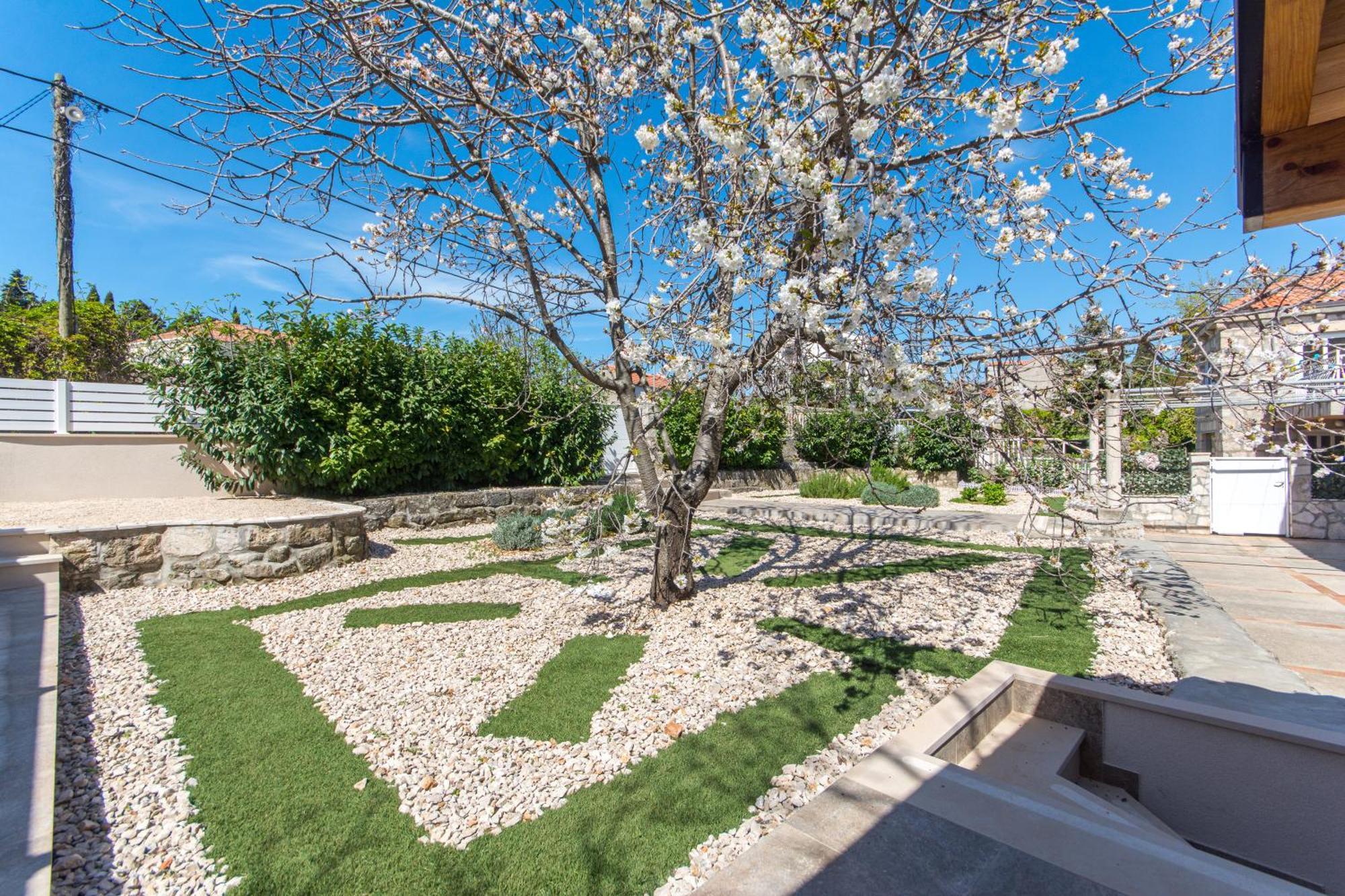 Apartments D&D Dubrovnik Eksteriør billede