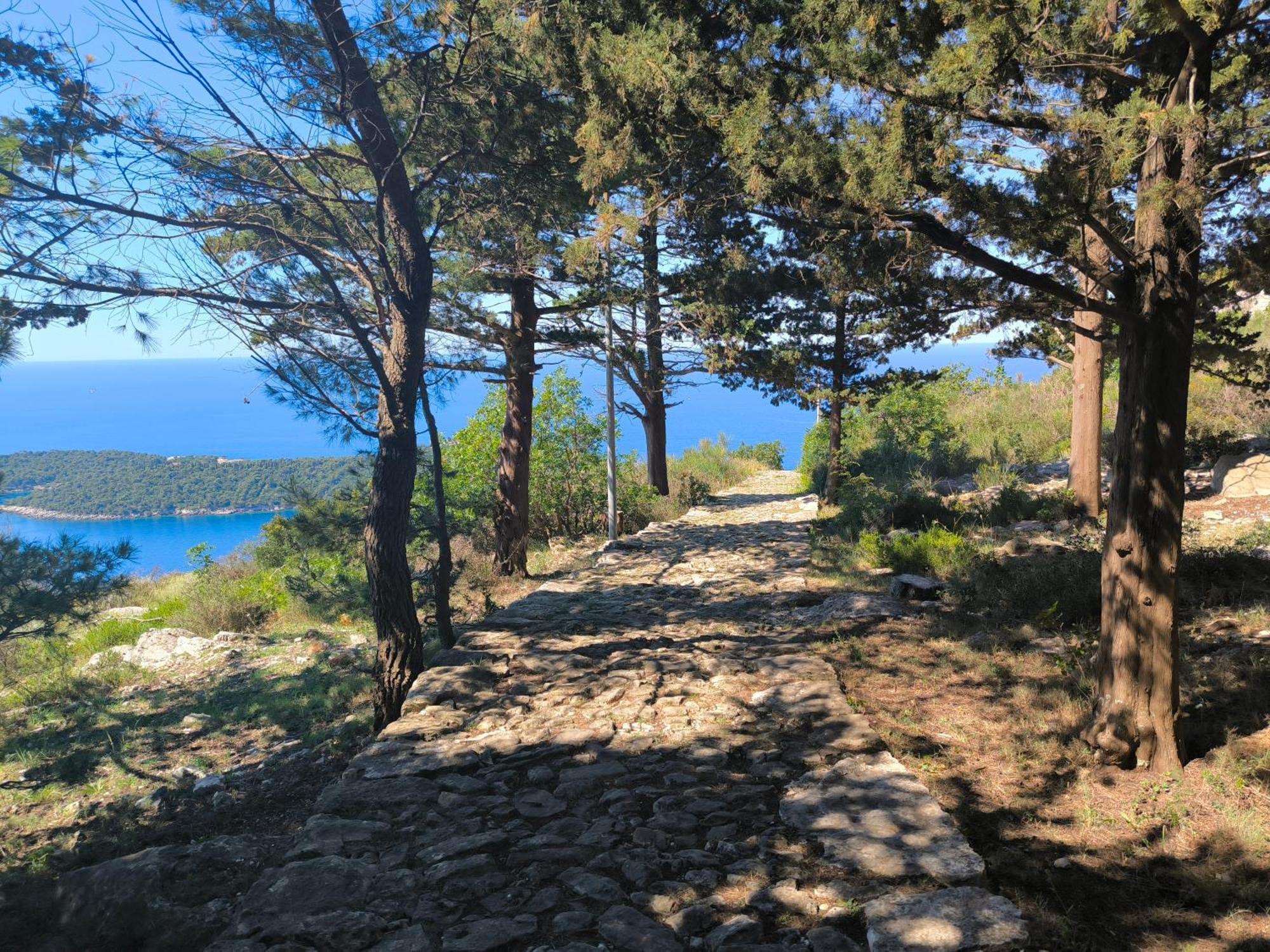 Apartments D&D Dubrovnik Eksteriør billede
